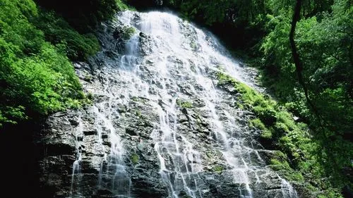 高端绿色高效